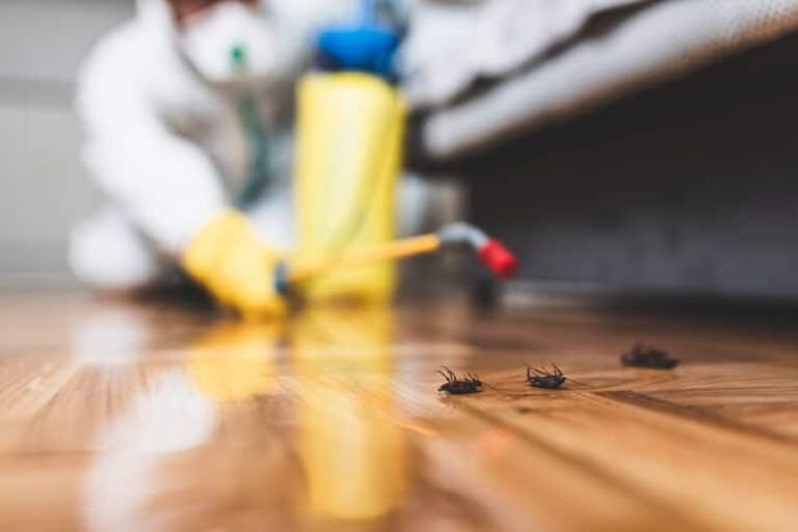 Commercial Pest Control in IMT Manesar