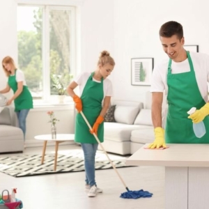 1Bhk Home Cleaning