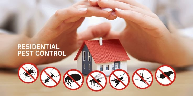 pest control in manesar
