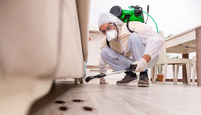 Top 10 signs your home needs professional pest control services in Gurgaon